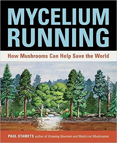 Mycelium Running