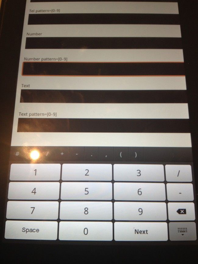 Number & Tel inputs on Amazon Kindle