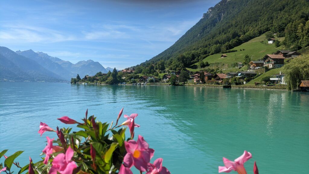 A glacier lake with pink flowers in the foreground