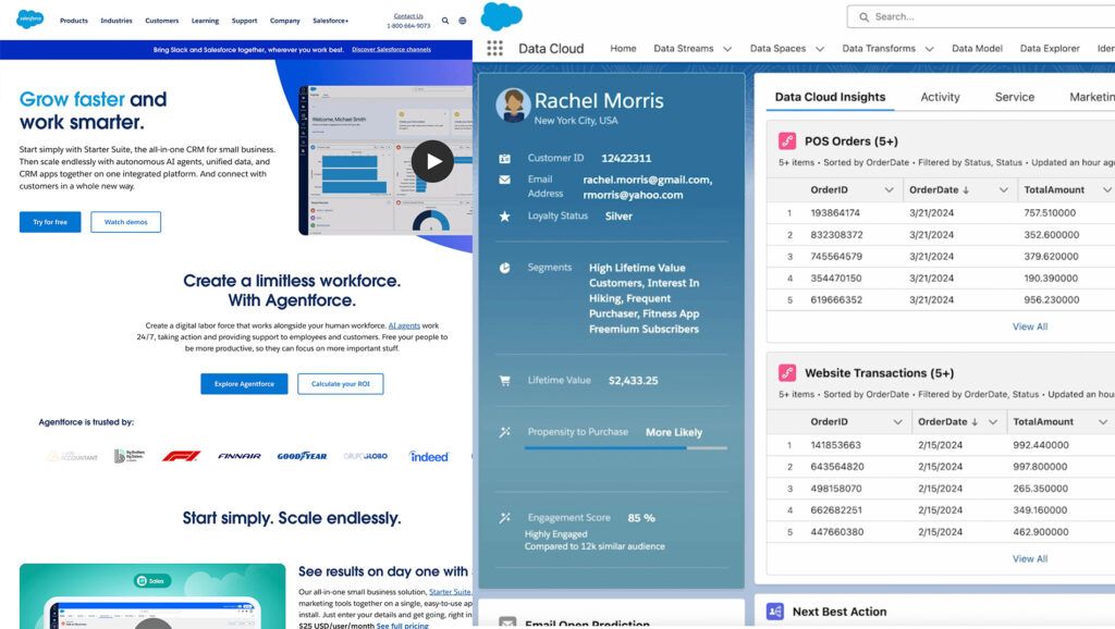 A side-by-side comparison between Salesforce.com and Salesforce enterprise software